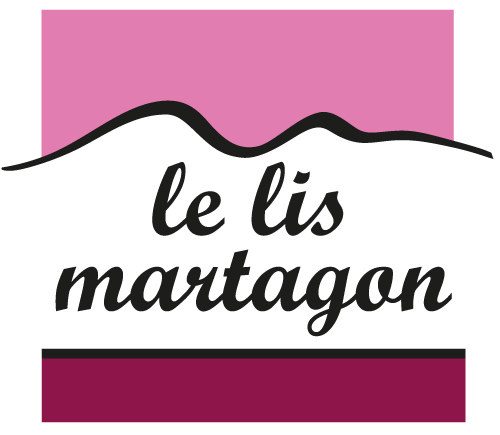 Association de vigilance environnementale